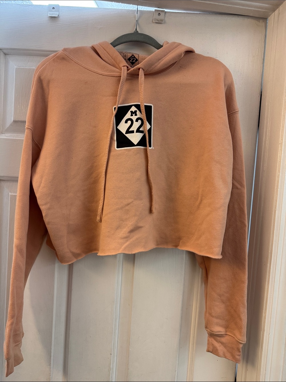 M22 Logo Cropped Hoodie in Dusty Peach